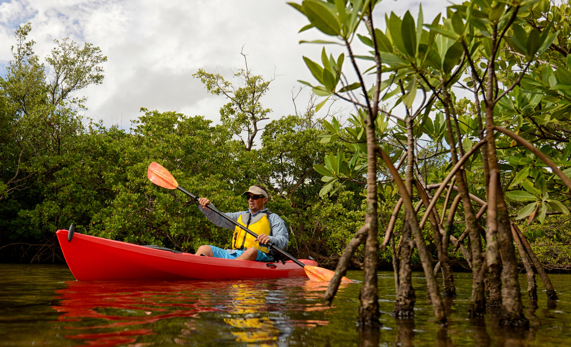 mangrove kayaking singapore