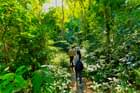 Navigate forest trails confidently with a knowledgeable trek leader