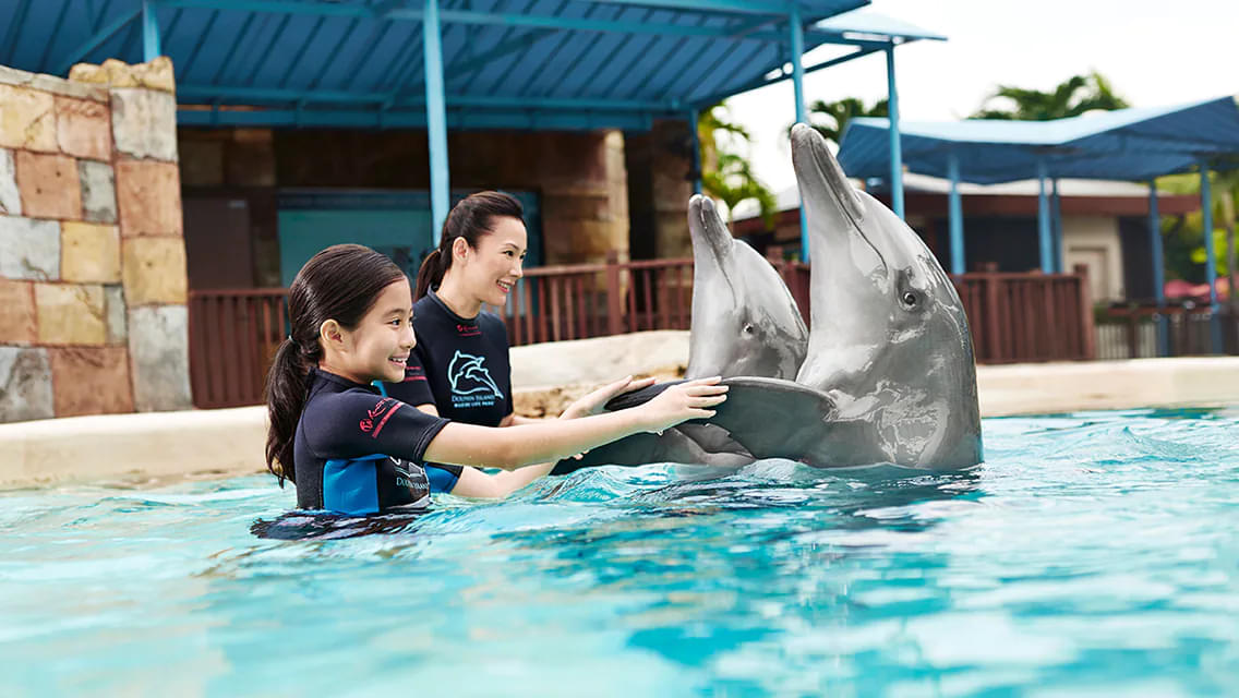 Dolphin Island, Singapore