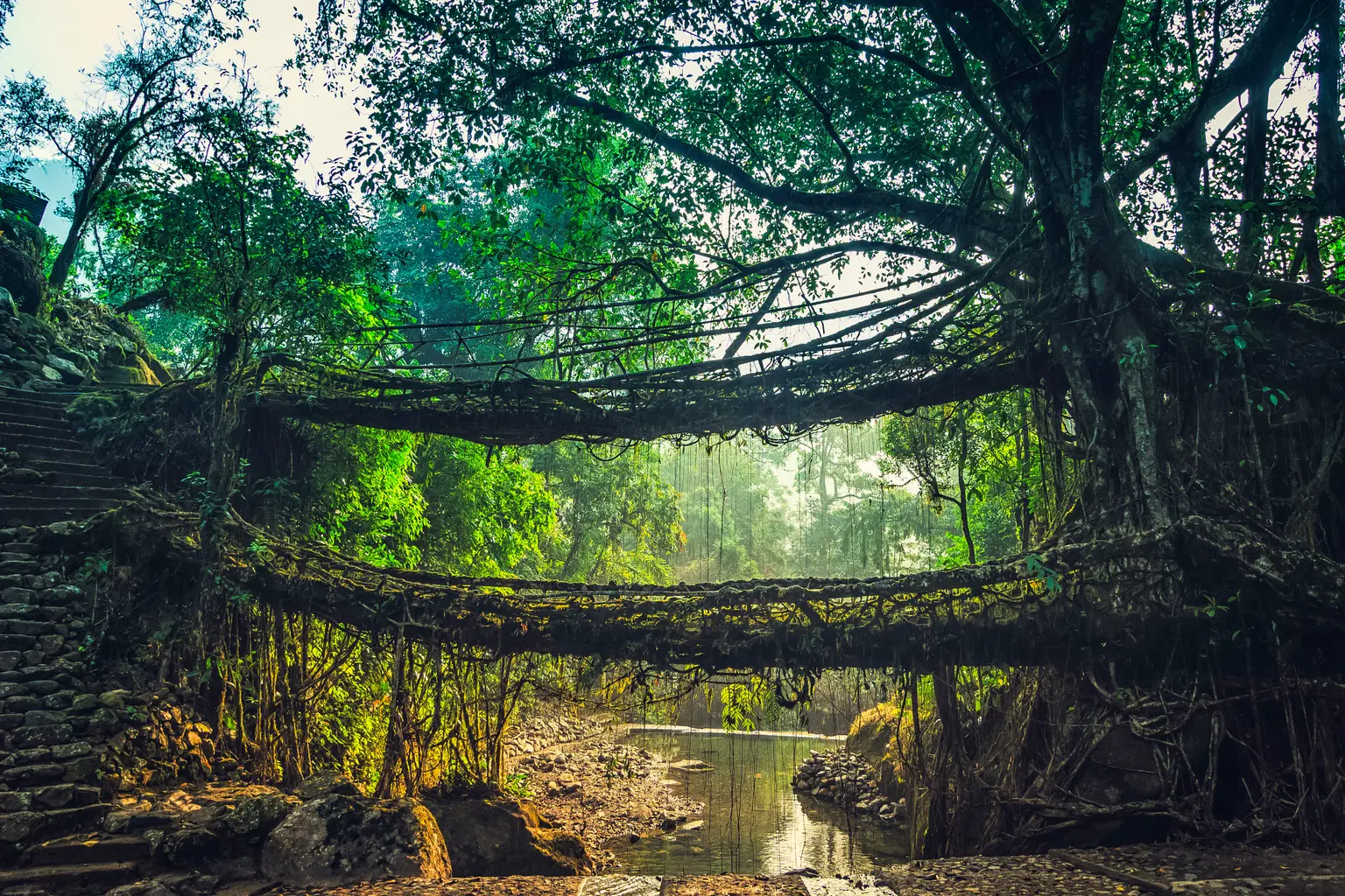 <em>Cherrapunji</em> Tour Packages From Lucknow 