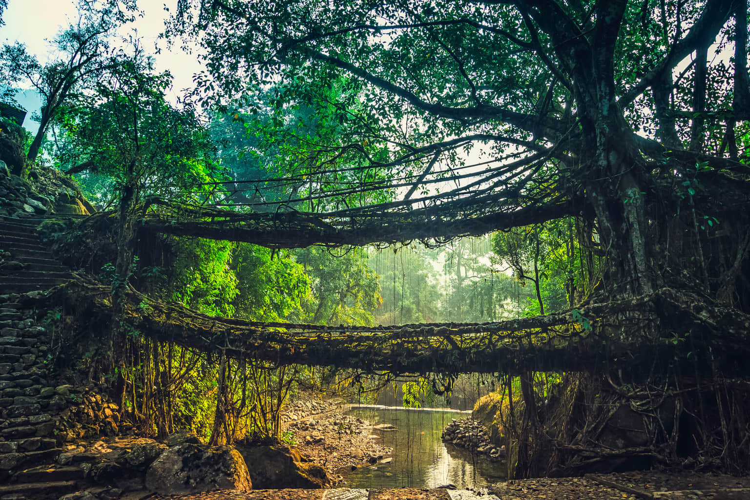 Cherrapunji Sightseeing Tours