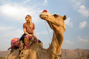 Embark on a thrilling camel safari through the golden sands of Pushkar