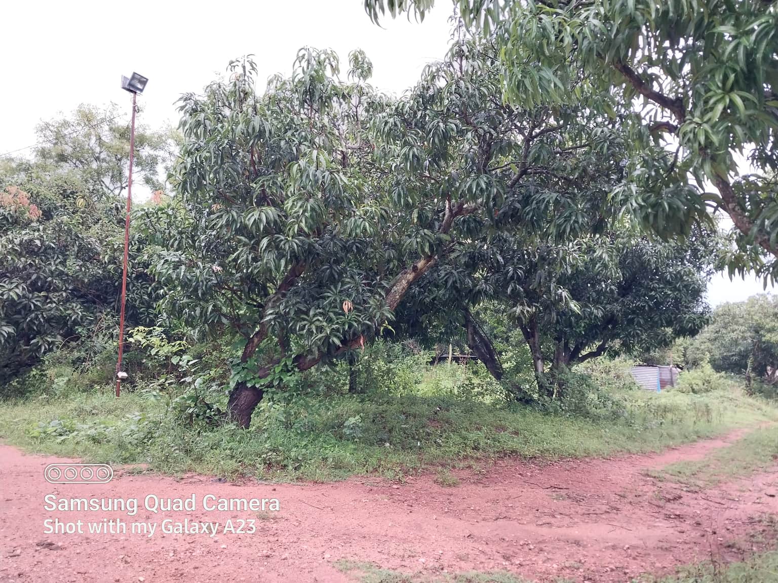 Photo from soumya mj's trip