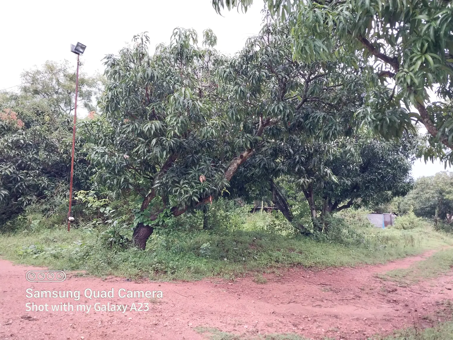 Photo from soumya mj's trip