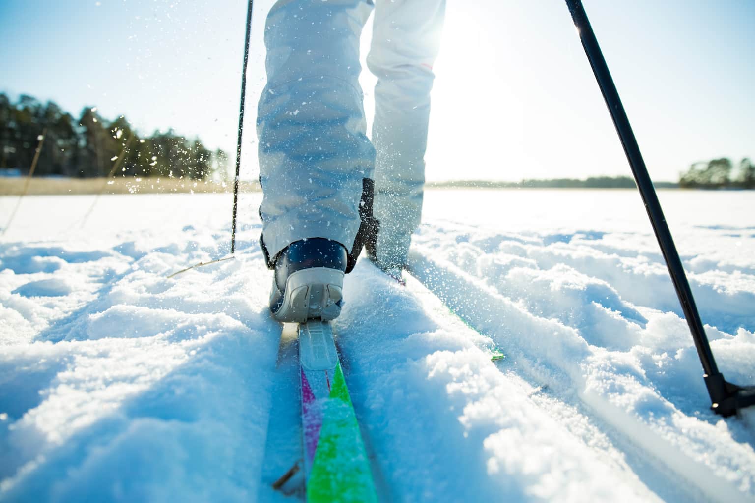 Snow Field