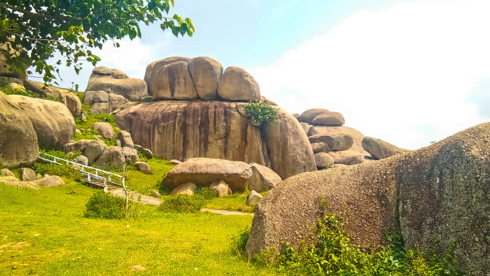 Rock Garden