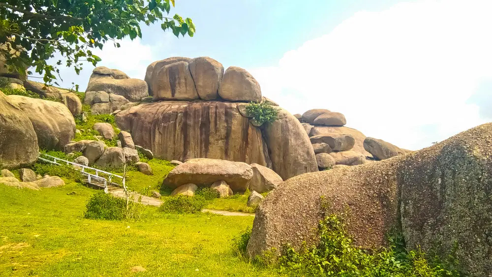Rock Garden