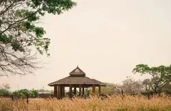 Walk Through History at the Fort Ruins