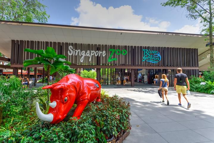 singapore zoo and safari park.jpg