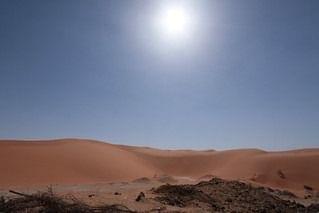 Red Sand Dunes Tours from Riyadh