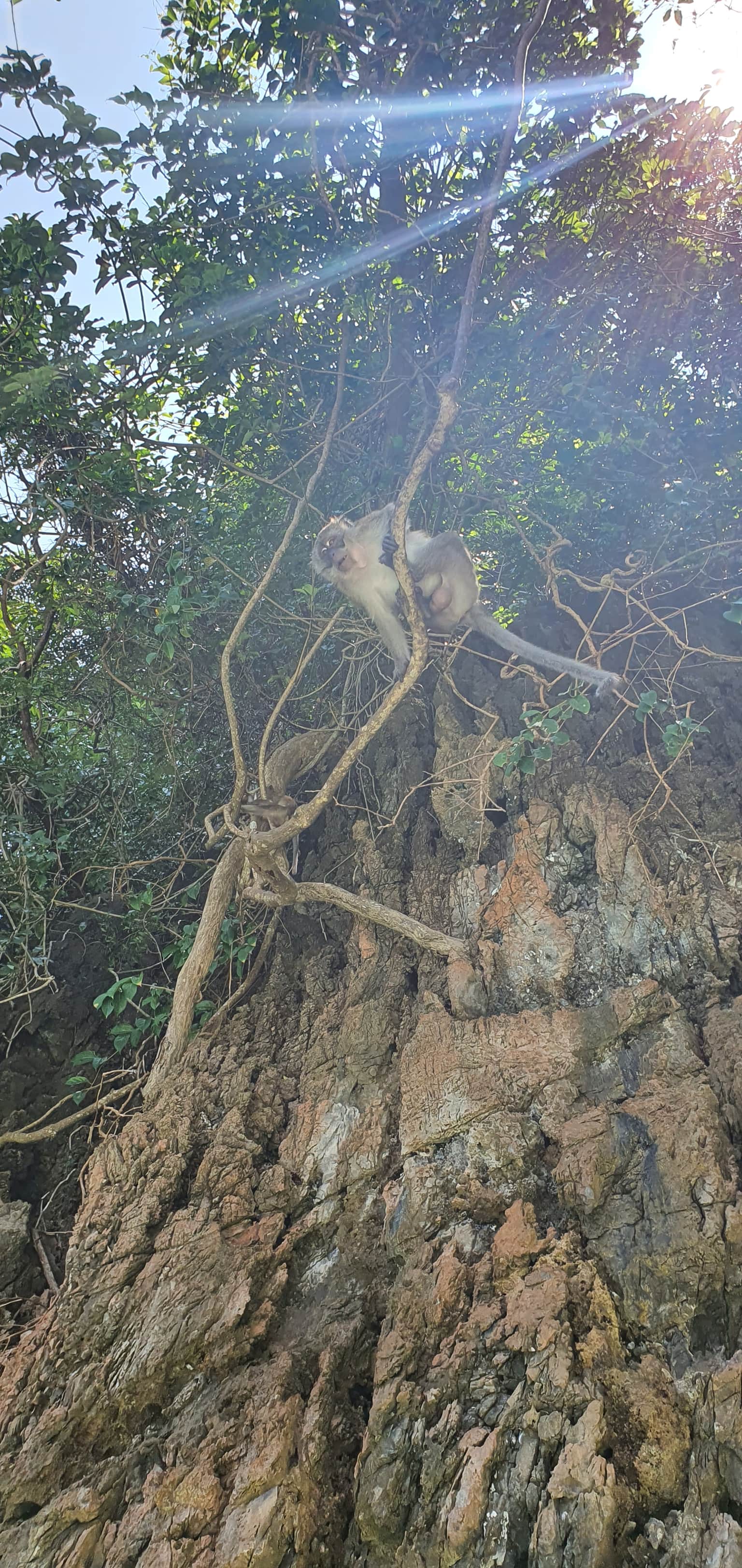 Photo from Christopher Sly's trip