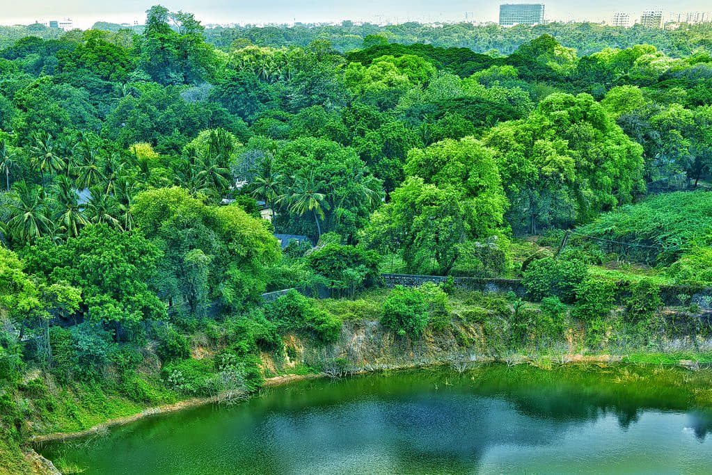 Guindy National Park