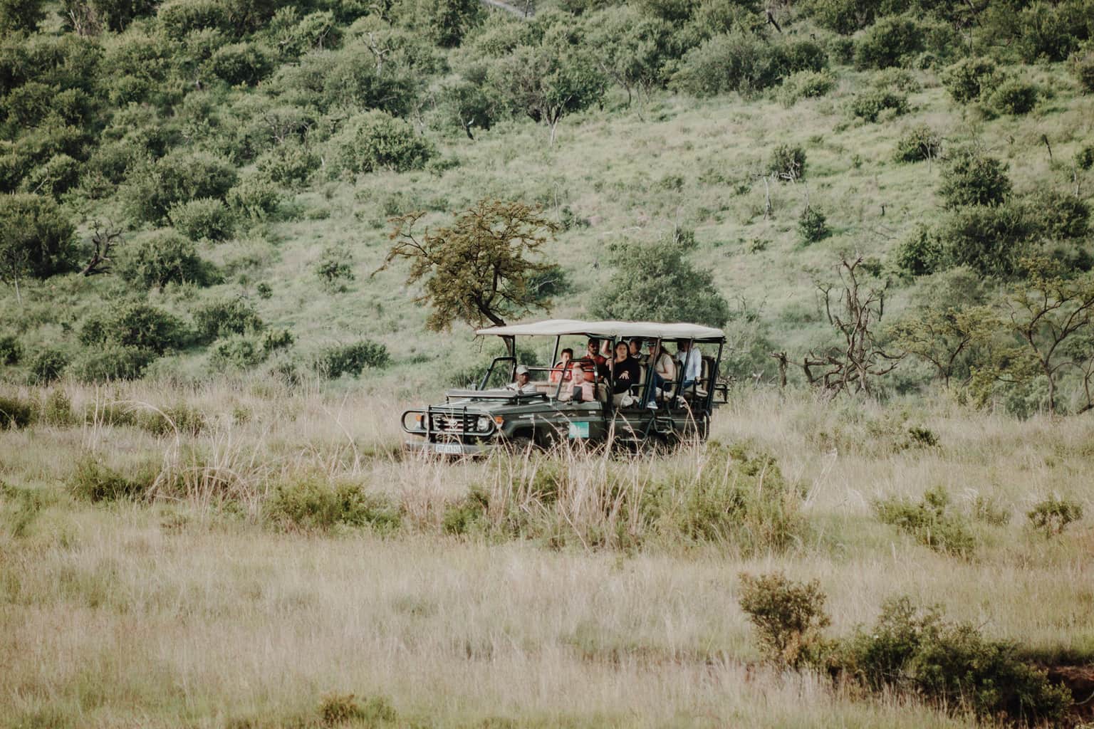Jim Corbett : Experiential Wildlife Tours