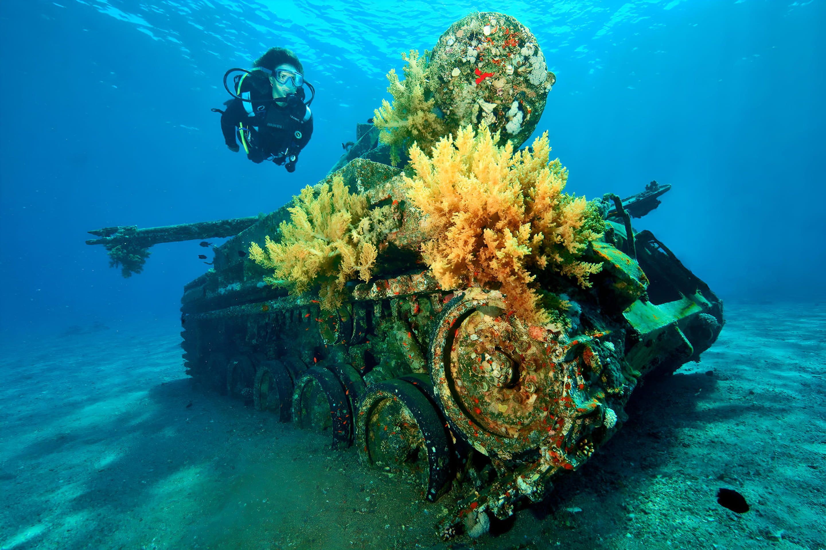 Seven Sisters Overview