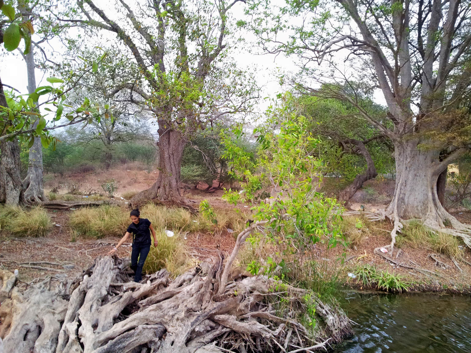 Photo from Tejas Bhattacharya's trip