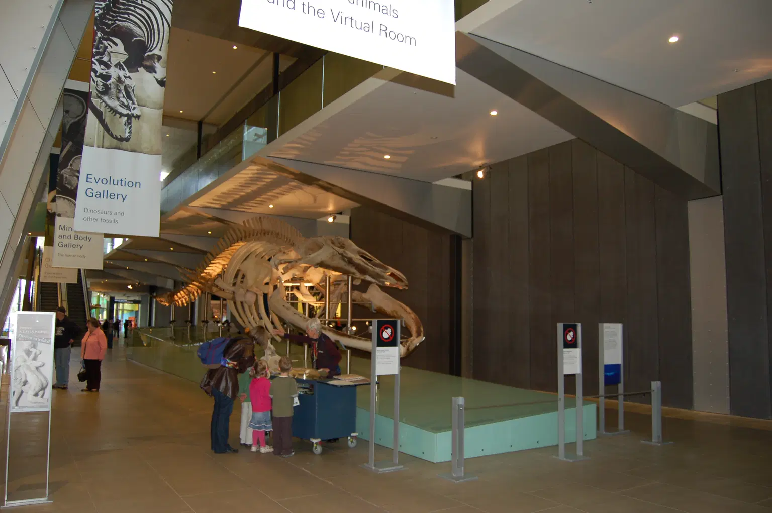 Life Gallery