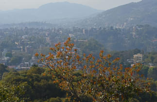 6dyhzcwidum8dsul5vp1oqd8kj04 50142385497 b3aa981720 o