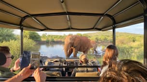 6e1h2pjl2gvmb1637uksgpbys577 shutterstock 2417170347