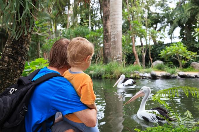 kids at bali bird park.jpg