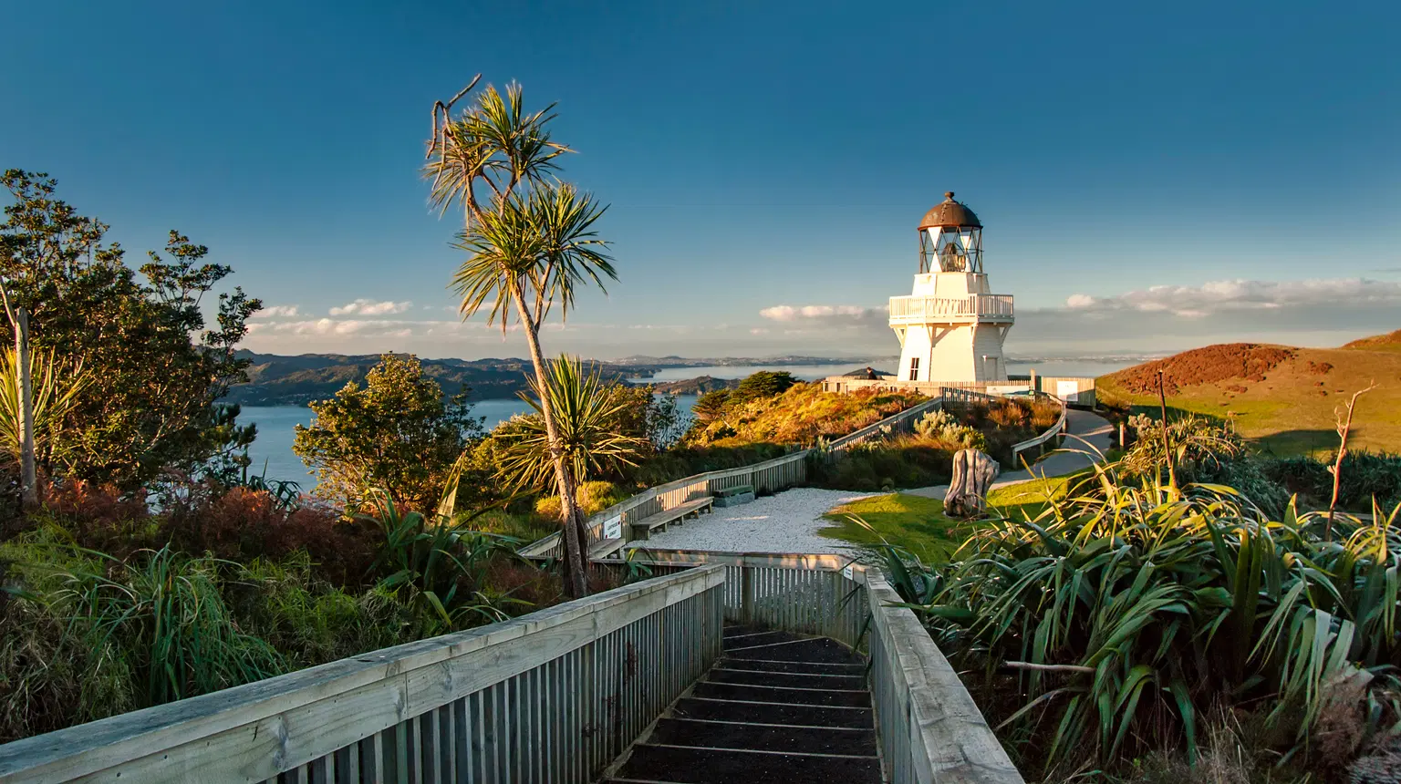 <em>Auckland</em> Tour Packages From Vijayawada 