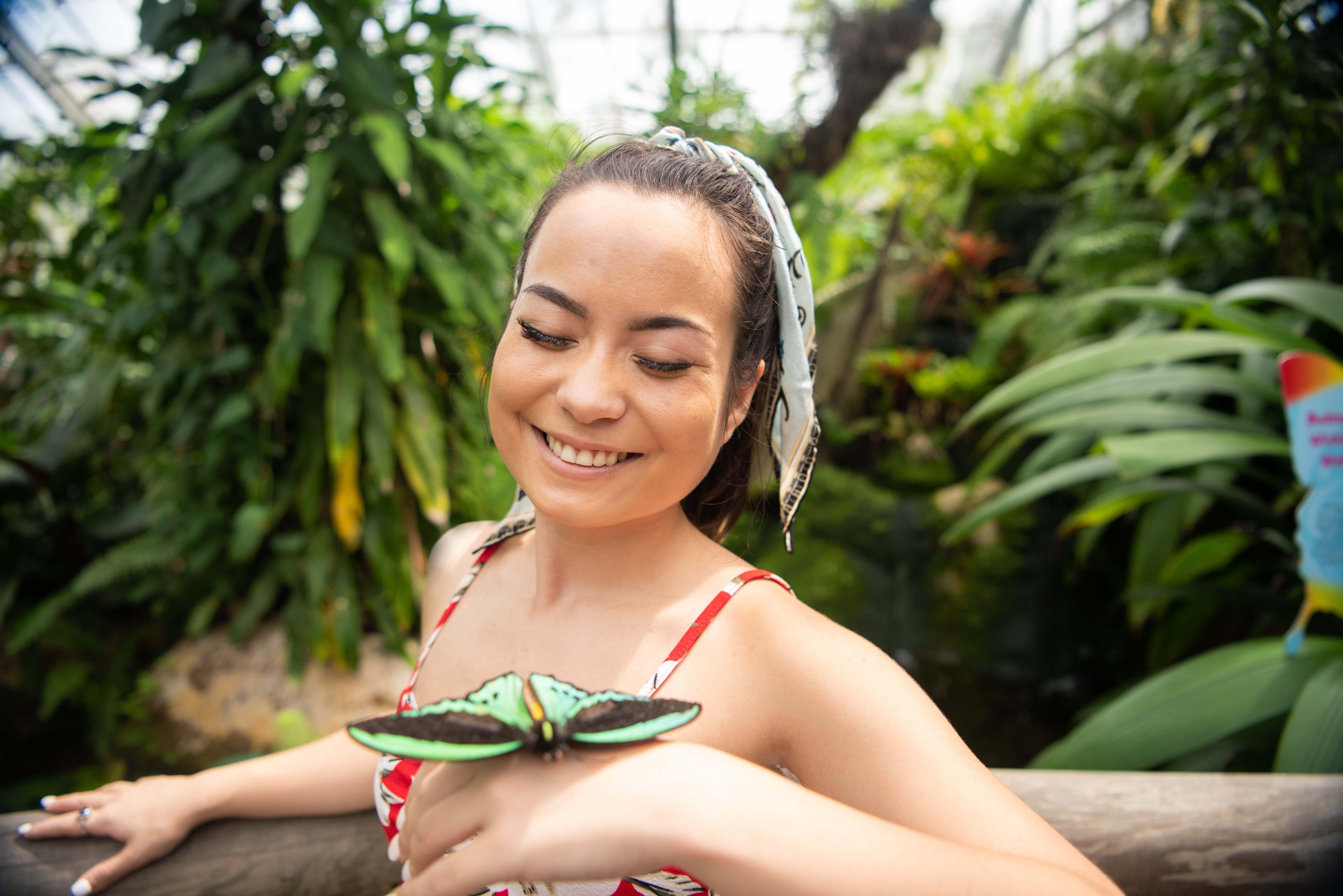 Visit Australian Butterfly Sanctuary, one of the largest butterfly flight aviary & exhibit