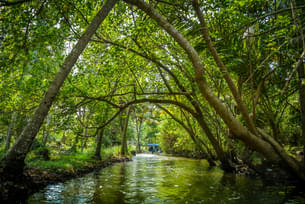 Explore the untouched beauty of Poovar Island on a 2-hour boat ride