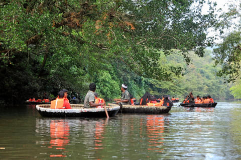 Activity & SightSeeing Image