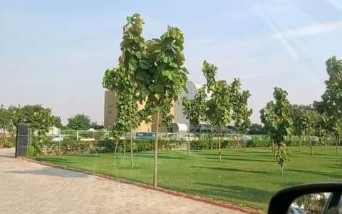 Manesar Sightseeing Tours
