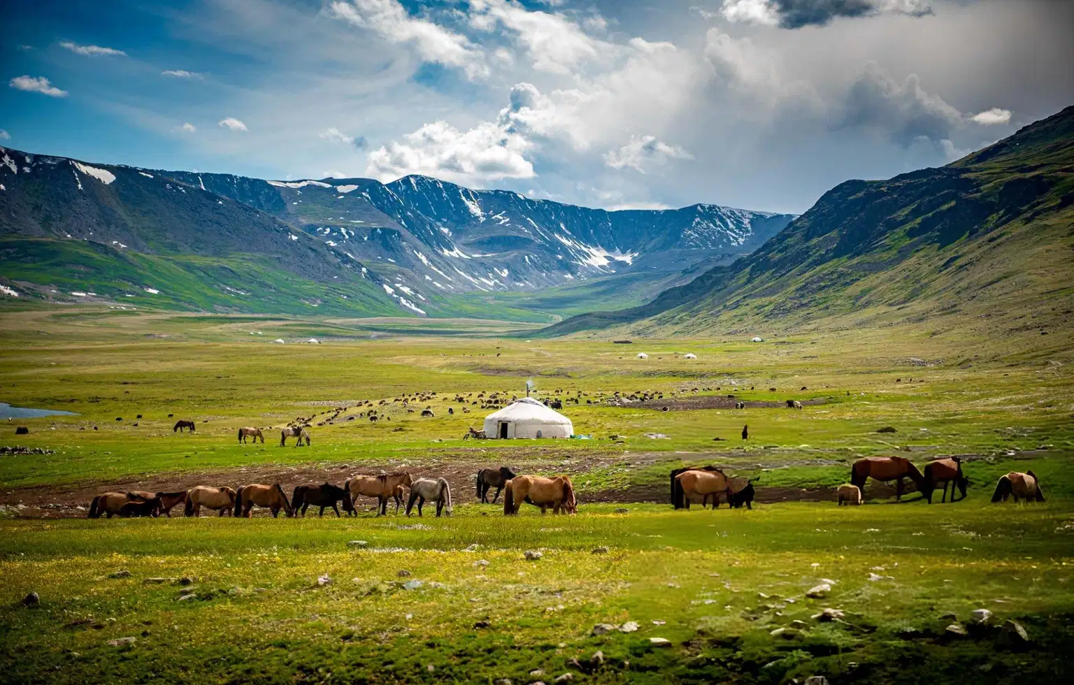 Mongolia Odyssey | Valleys, Monasteries & Ancient Wonders