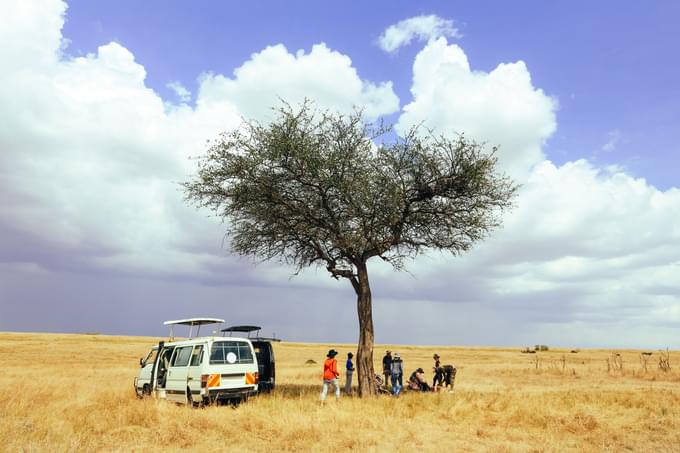 Kenya Tanzania safari.jpeg