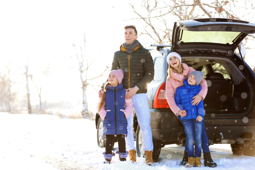 Switzerland Family Special - Van Tour