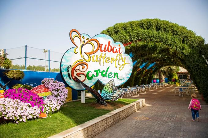 Butterfly Garden at Dubai