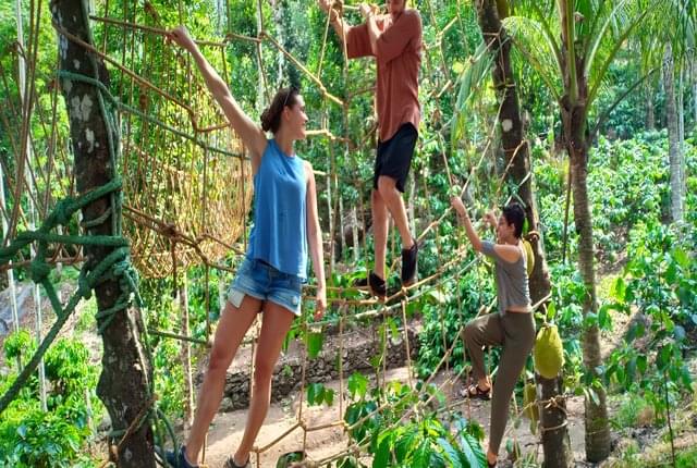 Wayanad Adventure Camp Image