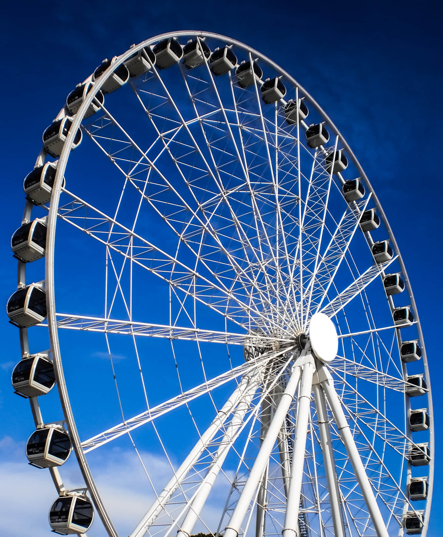 Wheel Of Brisbane , <em>Brisbane</em>