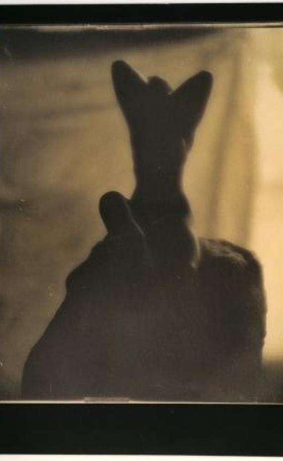 Photographs at Rodin Museum Paris