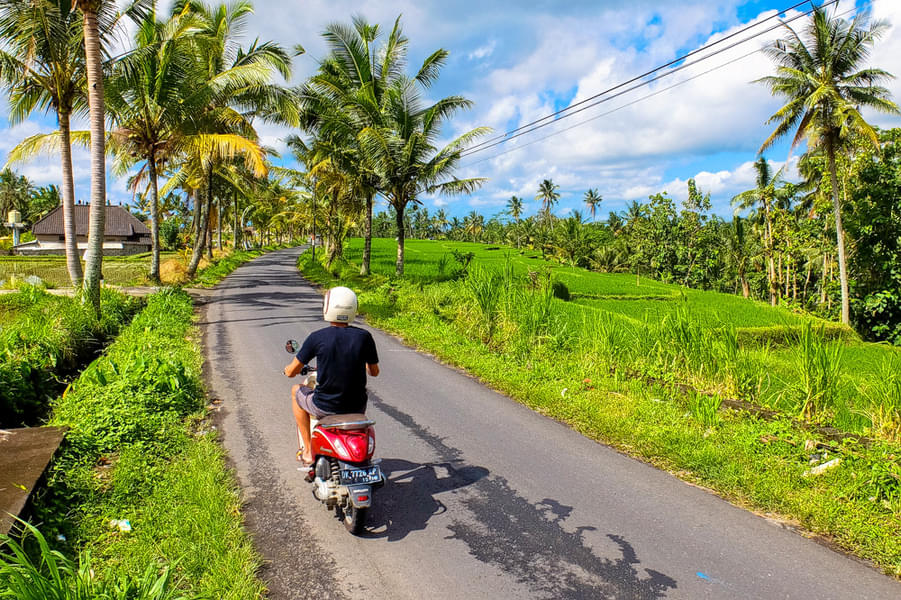 Scooter Rental in Bali Image