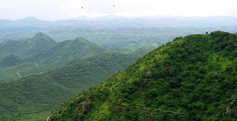 Sajjangarh Wildlife Sanctuary, <em>Udaipur</em>