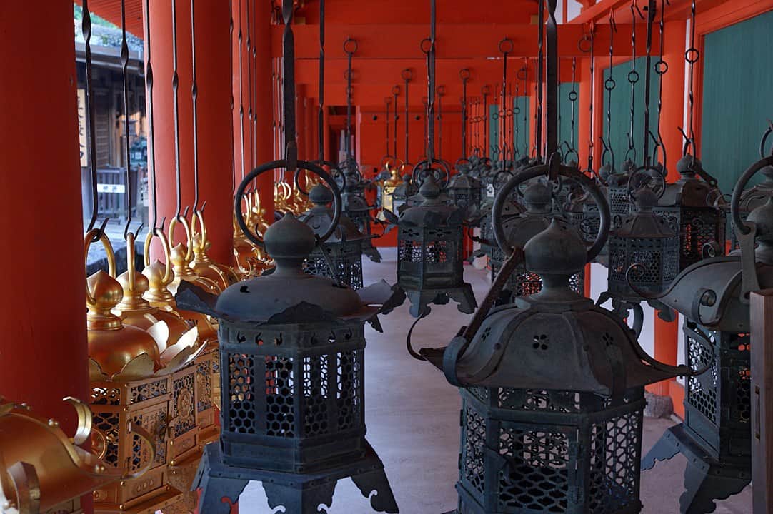 Look at the beautiful hanging lanterns