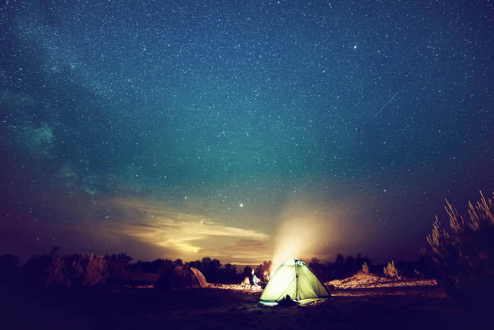 Camping Events near Bhopal
