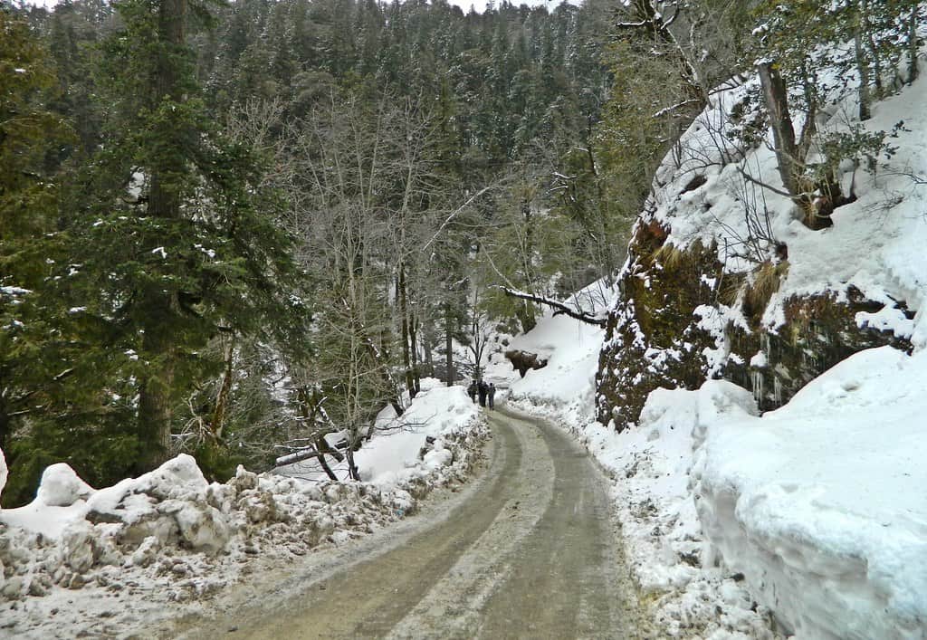 Jalori Pass, <em>Jibhi</em>