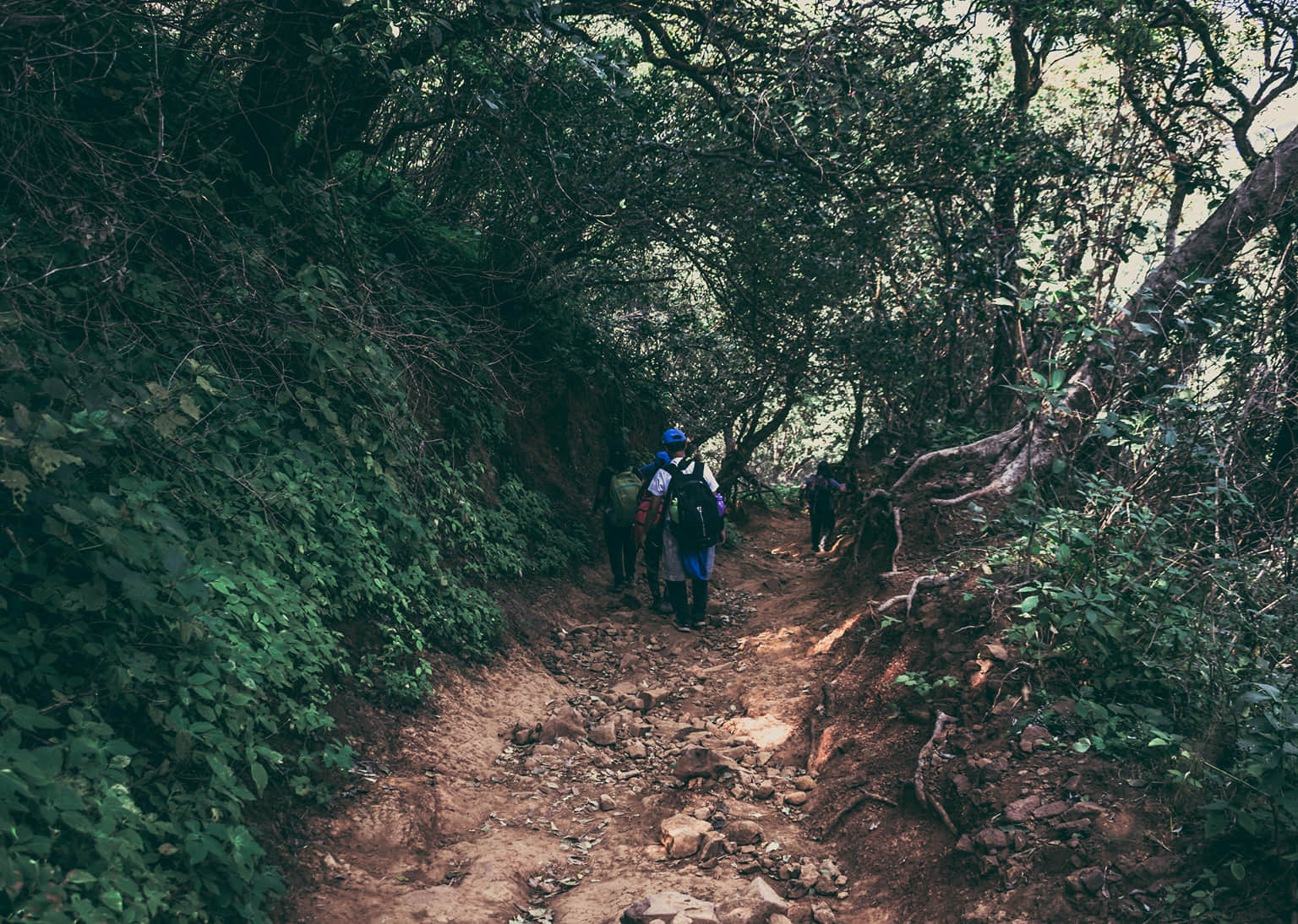 Trekking Group Departures From Mumbai - Upto 45% Off