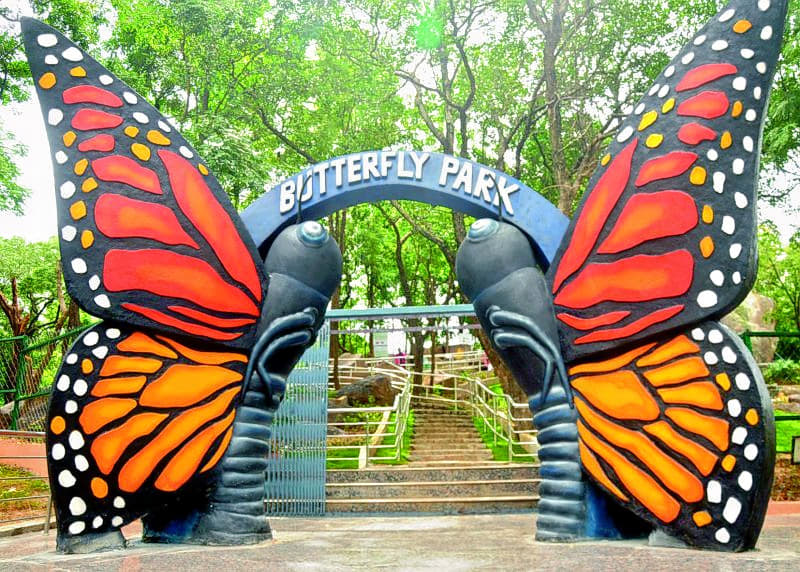 Butterfly Park In Hyderabad Image