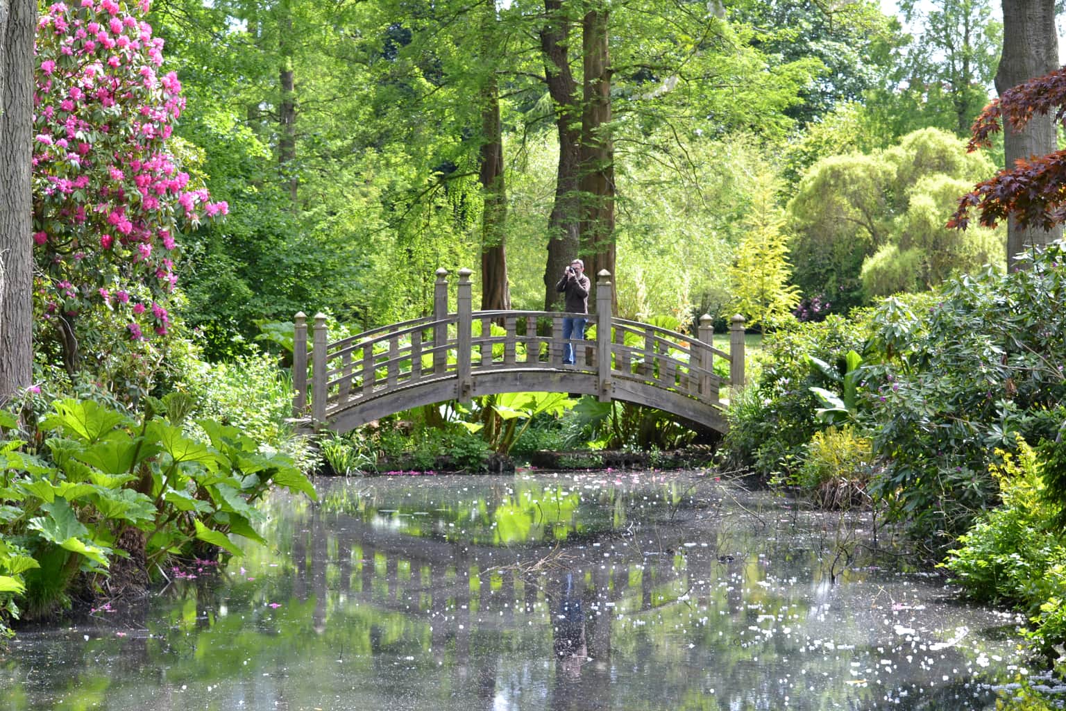 Winterbourne Garden