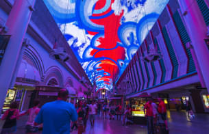 Enjoy the nightlife of Las Vegas on a bus tour