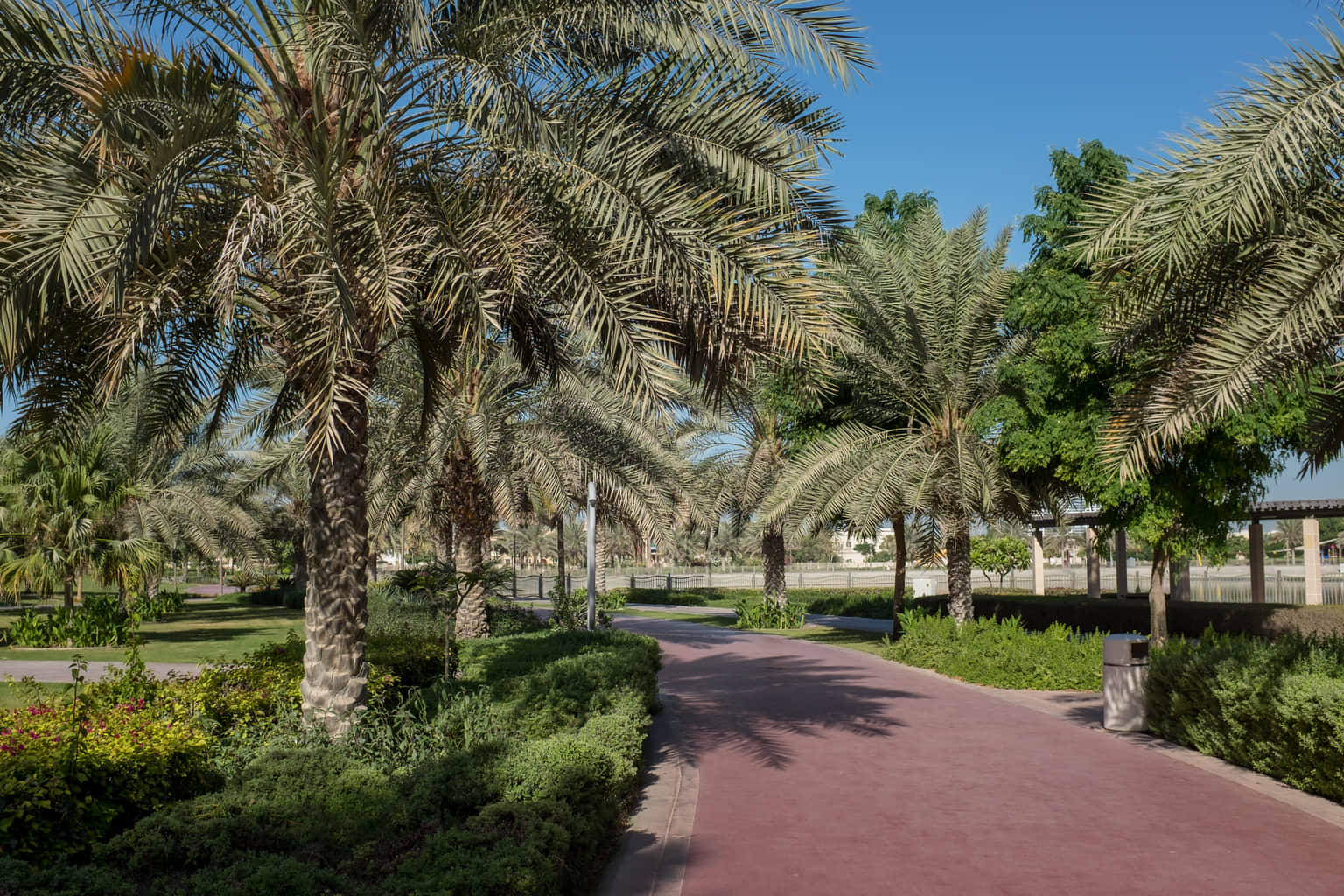 Al Barsha Pond Park, <em>Dubai</em>