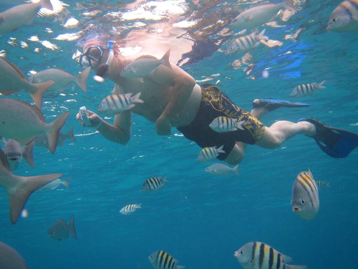 Snorkel and explore the underwater world here at Chankanaab Beach Adventure Park