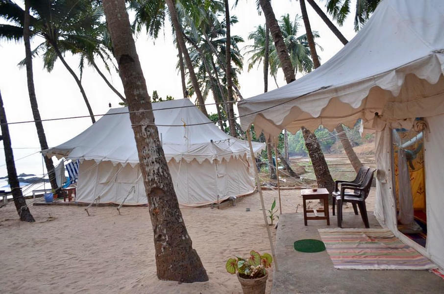 Beach Side Camping In Goa Image