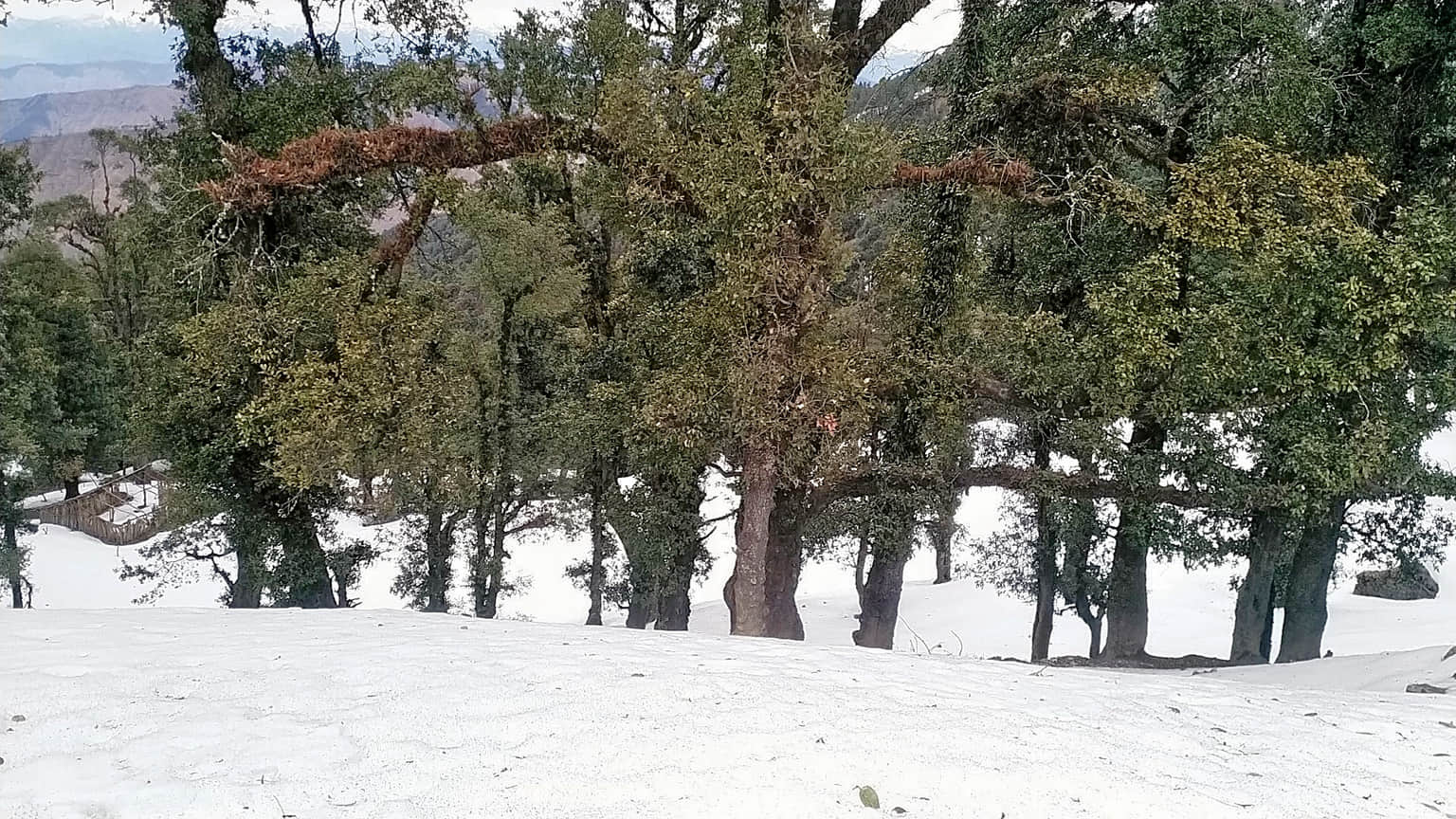 Photo from Malika Verma's trip