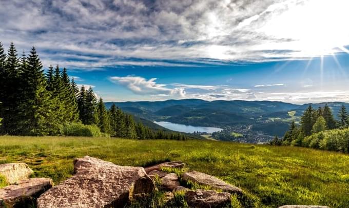 Black Forest Rhine Falls Day Trip From Zurich