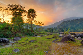 Dooars Tour Package from Njp